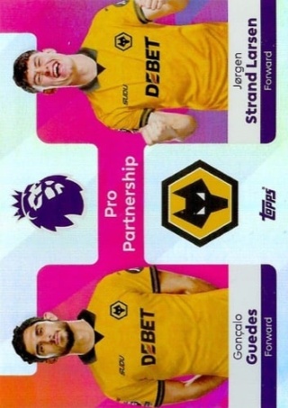 378 Guedes / Larsen Wolverhampton Pro Partnership Premier League 2026