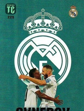 229 - Vini Jr / Karim Benzema - Real Madrid - Synergy