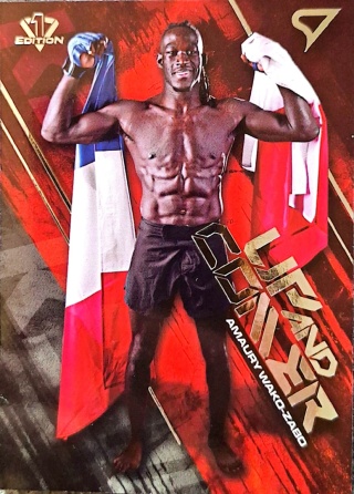 UC-4 Amaury Wako-Zabo Up and Comer Sportzoo KSW 2026