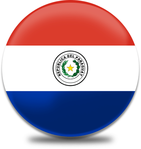 Paraguay Panini Fifa World Cup 2026