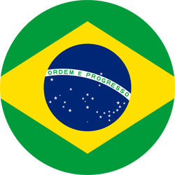 Brazil Panini Fifa World Cup 2026