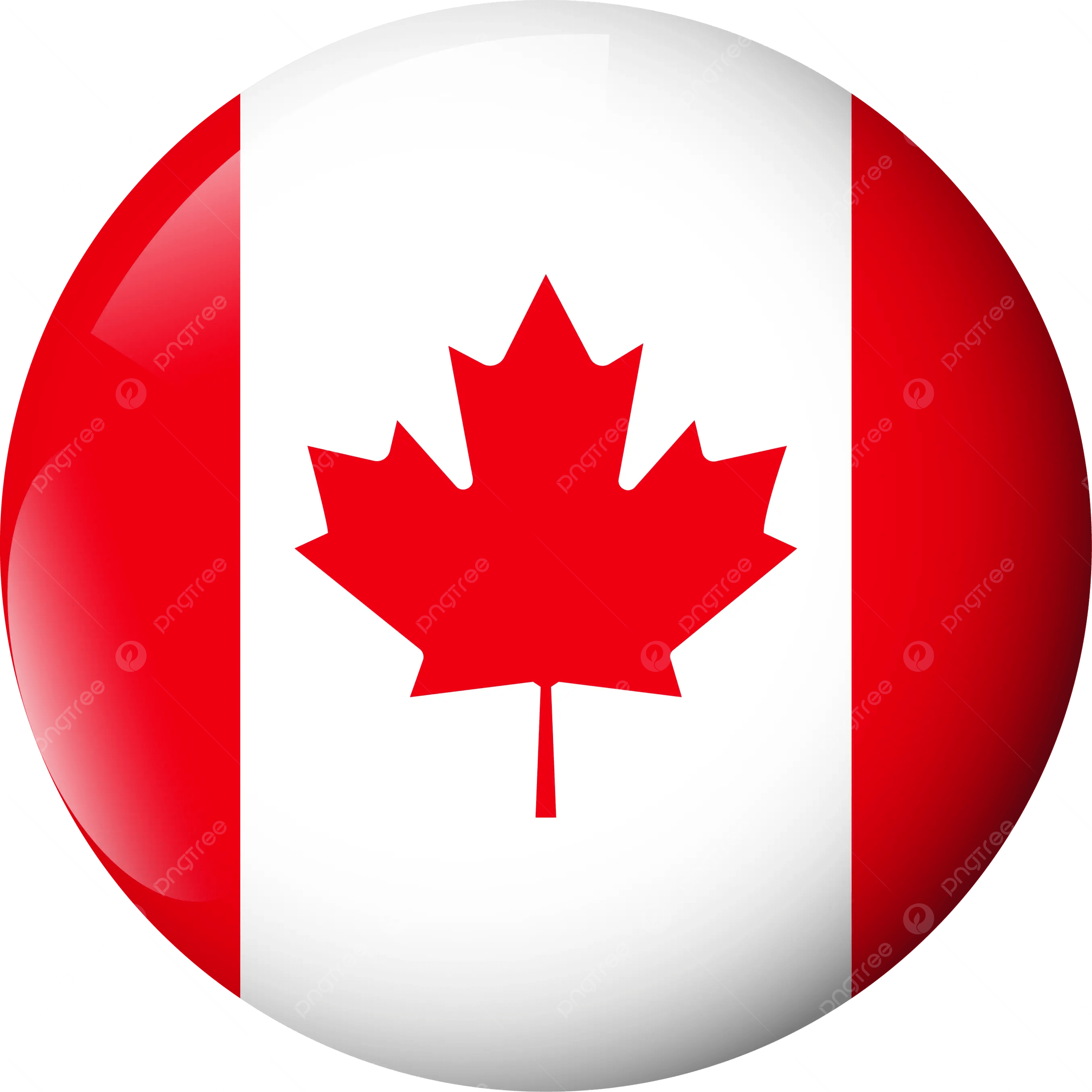 Canada Panini Fifa World Cup 2026