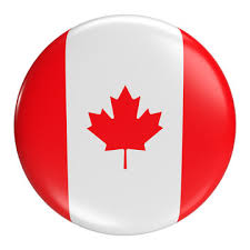 Kanada Panini FIFA World Cup Qatar 2022 Adrenalyn XL